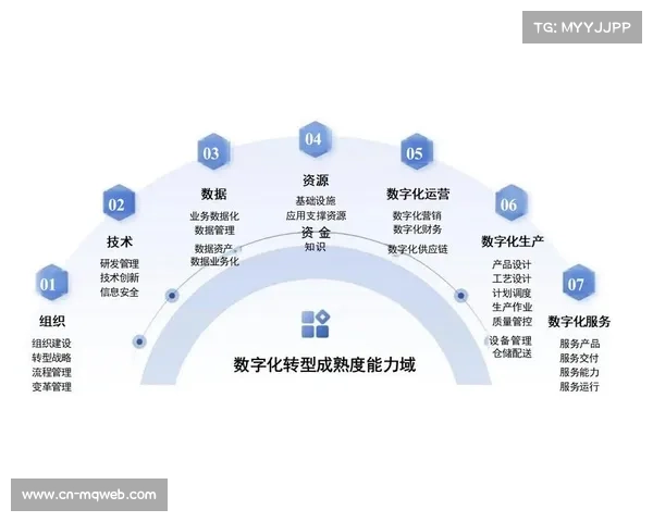 数字化运营成熟度提升,成行业核心竞争力 数字化运营成熟度提升,成行业核心竞争力